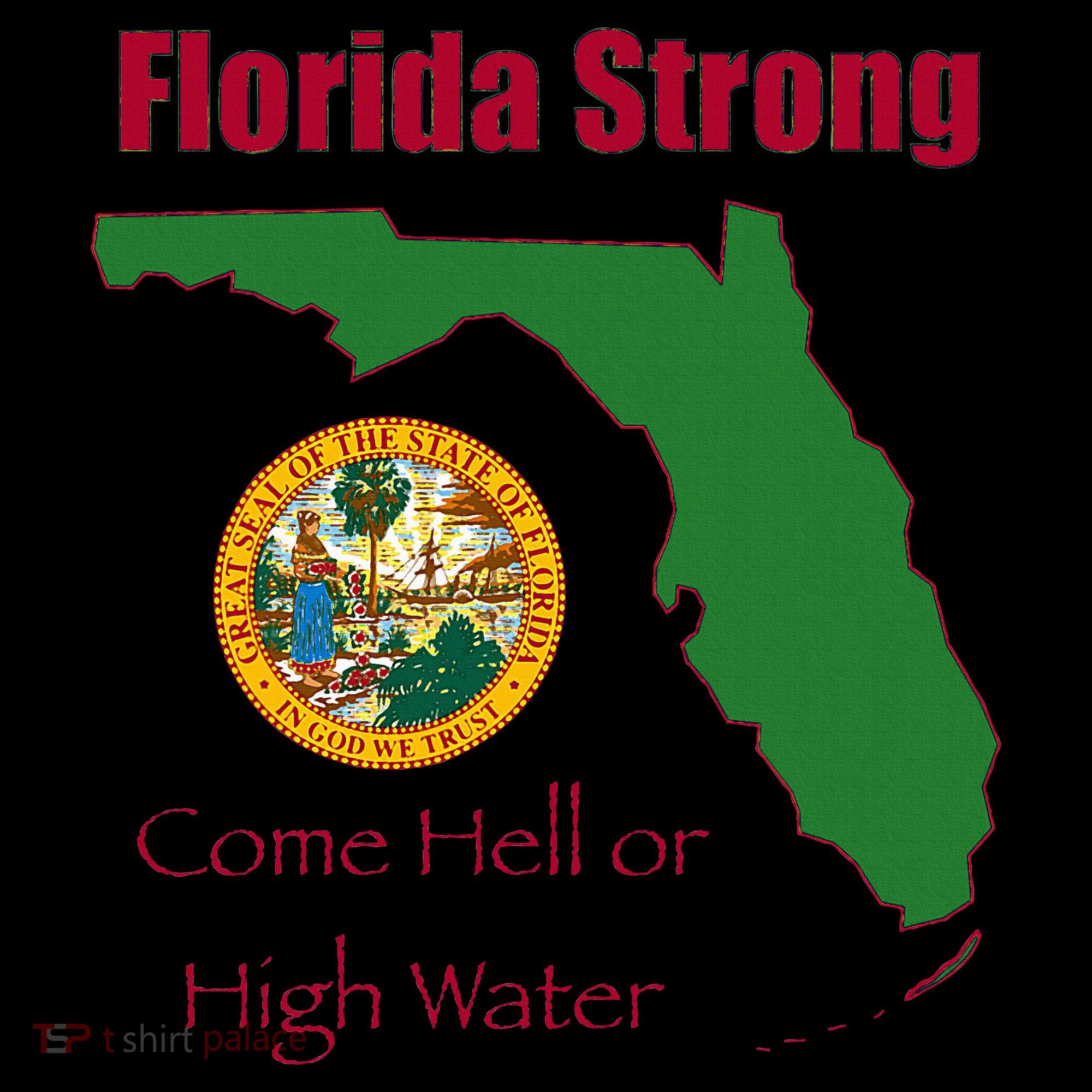 Florida Strong Come Hell Or High Water Kids Sweatshirt