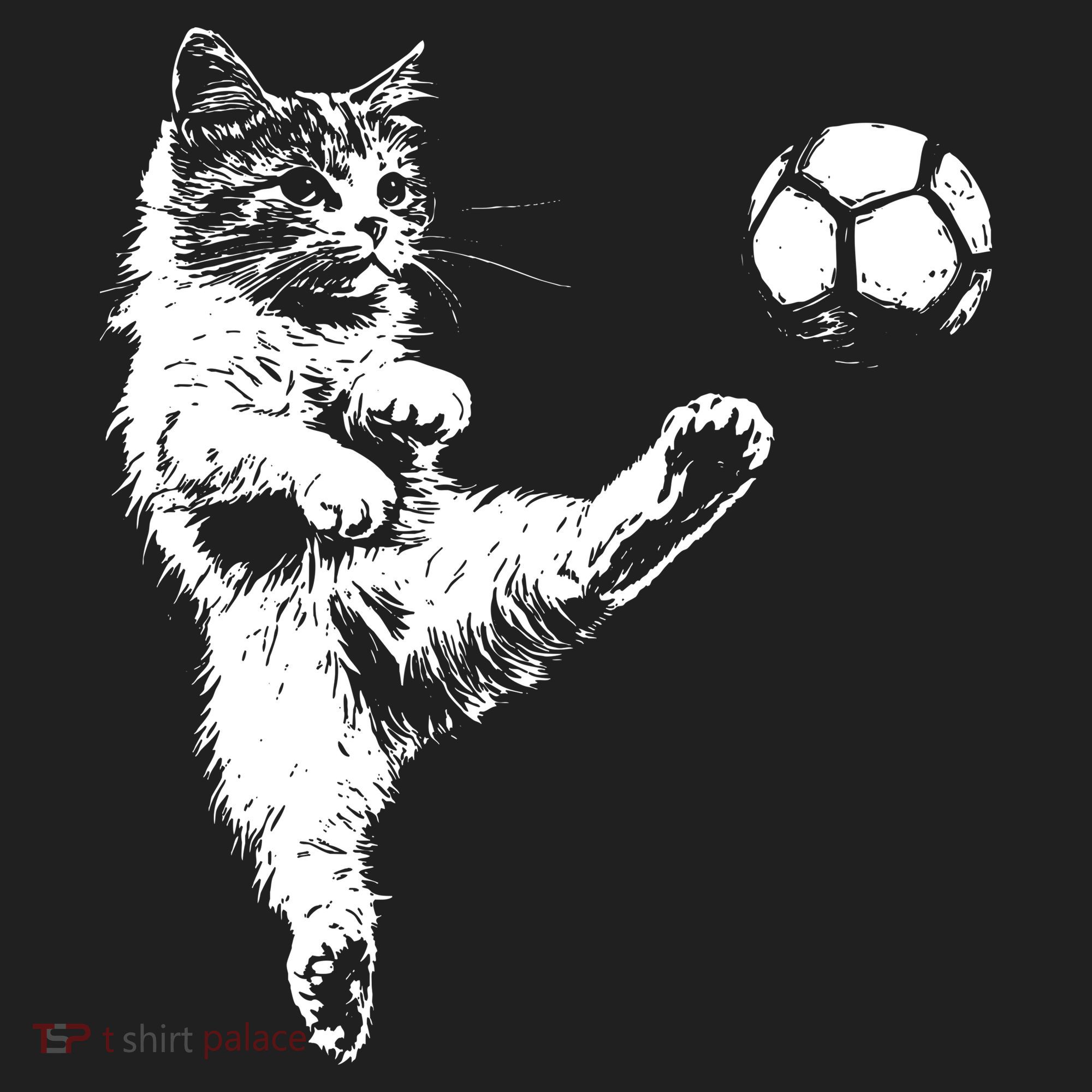Funny Soccer Cat Beanie