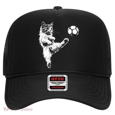 Funny Soccer Cat Hat