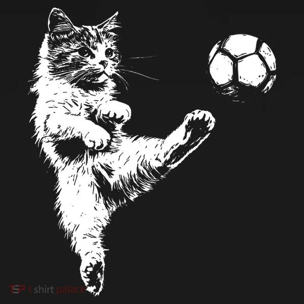 Funny Soccer Cat Kids Long Sleeve Shirt