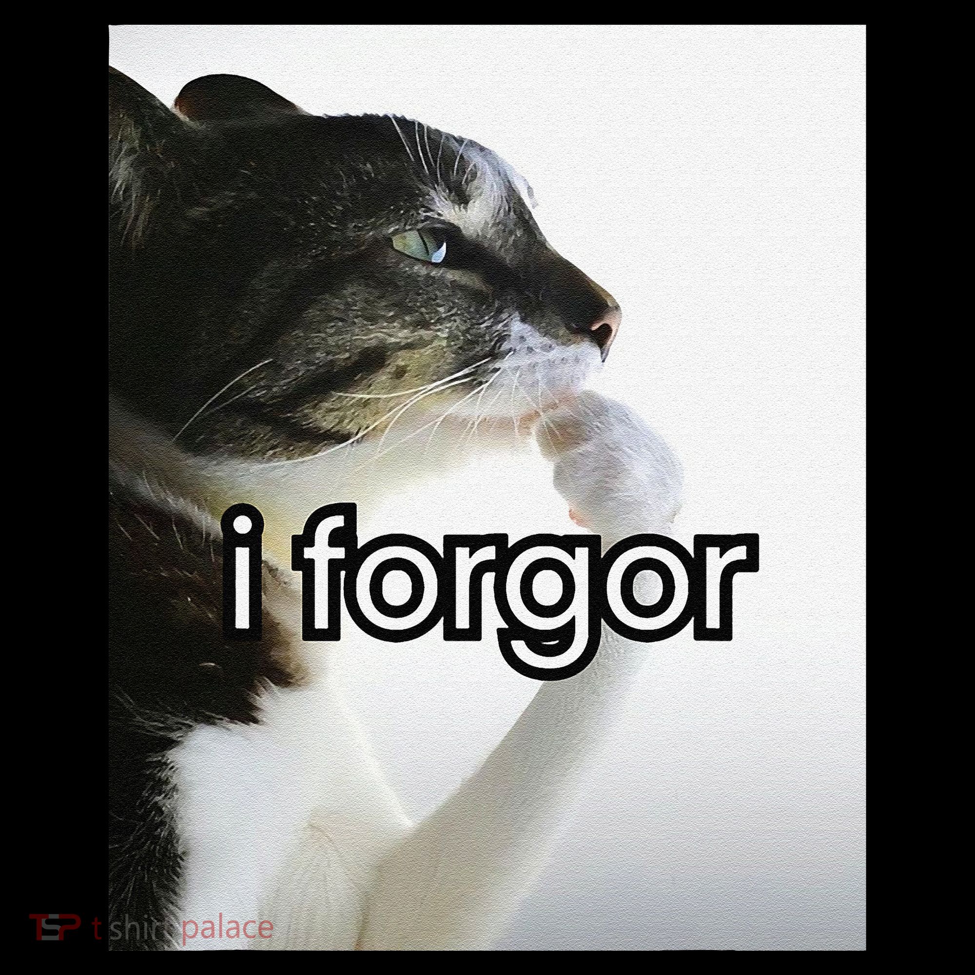 Funny Silly Cat Meme I Forgor Cringe Brainrot Meme Gift Coffee Mug