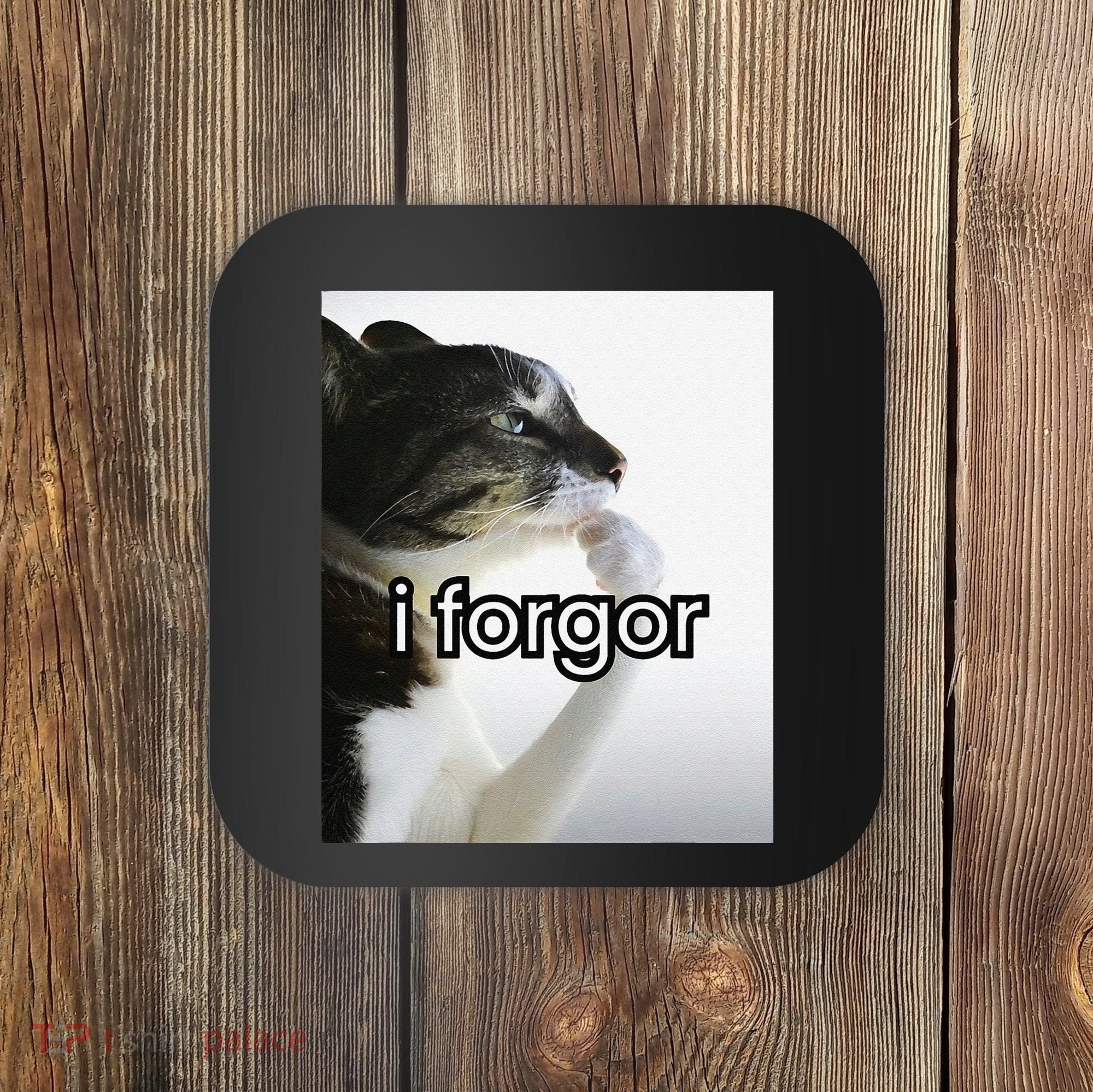 Funny Silly Cat Meme I Forgor Cringe Brainrot Meme Gift Coaster