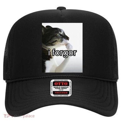 Funny Silly Cat Meme I Forgor Cringe Brainrot Meme Gift Hat