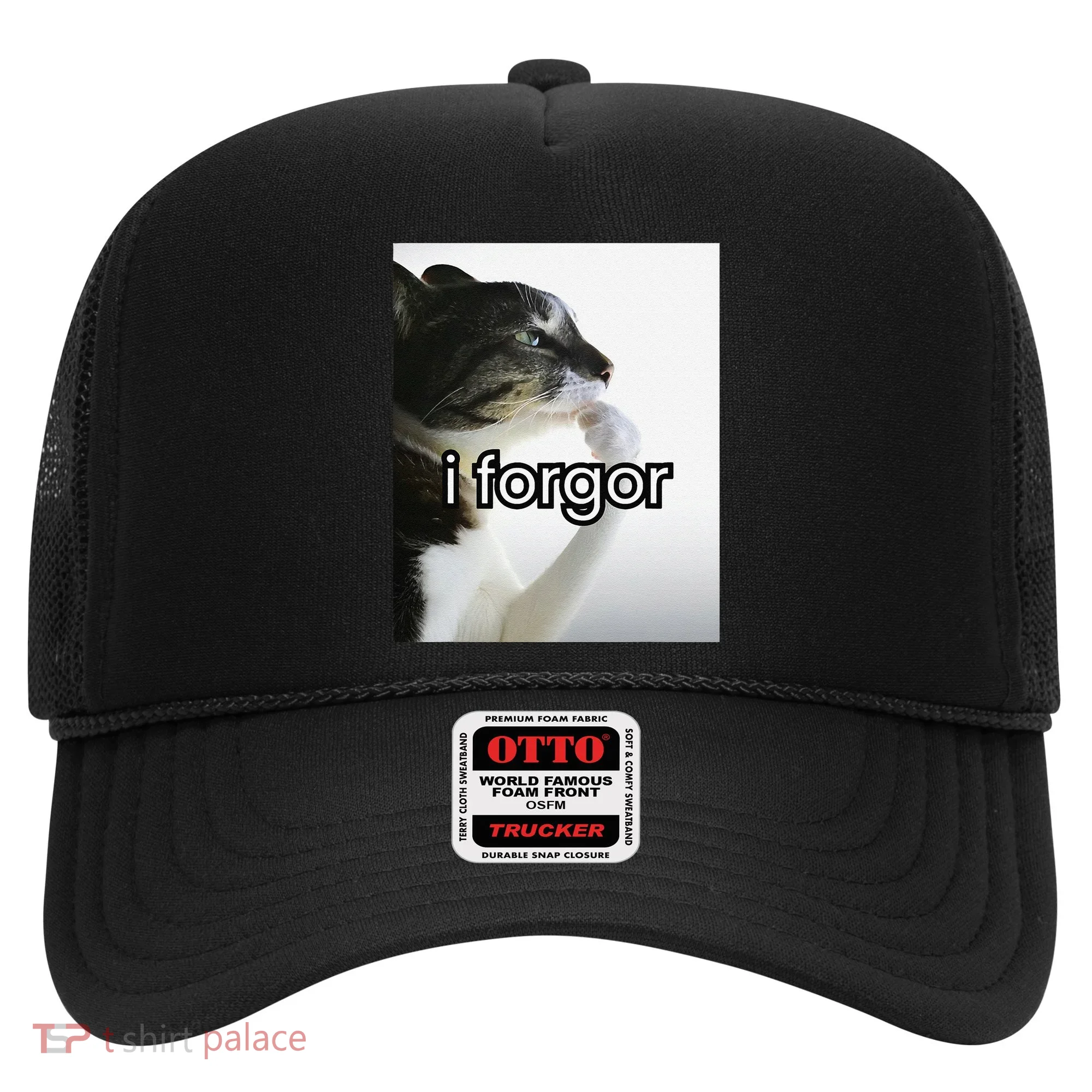 Funny Silly Cat Meme I Forgor Cringe Brainrot Meme Gift Hat