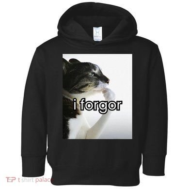 Funny Silly Cat Meme I Forgor Cringe Brainrot Meme Gift Toddler Hoodie