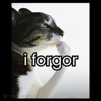 Funny Silly Cat Meme I Forgor Cringe Brainrot Meme Gift Women's T-Shirt thumb 6
