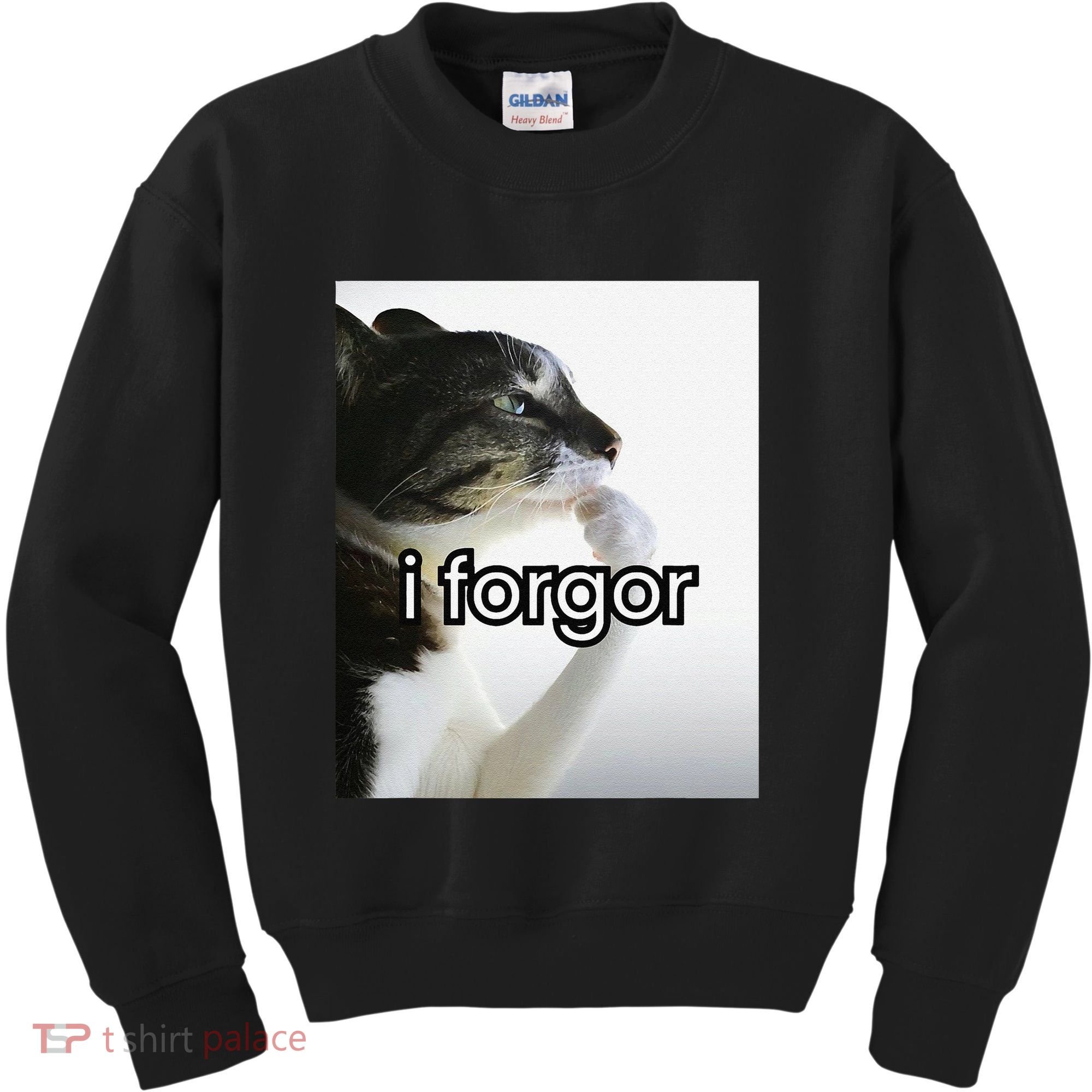 Funny Silly Cat Meme I Forgor Cringe Brainrot Meme Gift Kids Sweatshirt