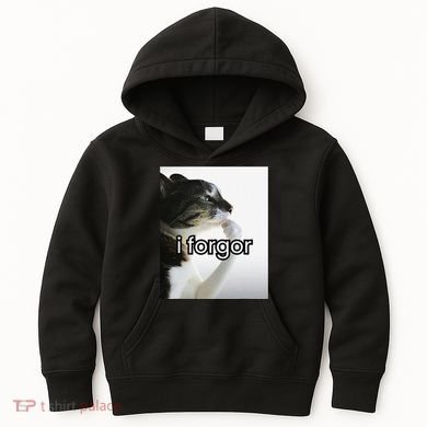 Funny Silly Cat Meme I Forgor Cringe Brainrot Meme Gift Kids Hoodie