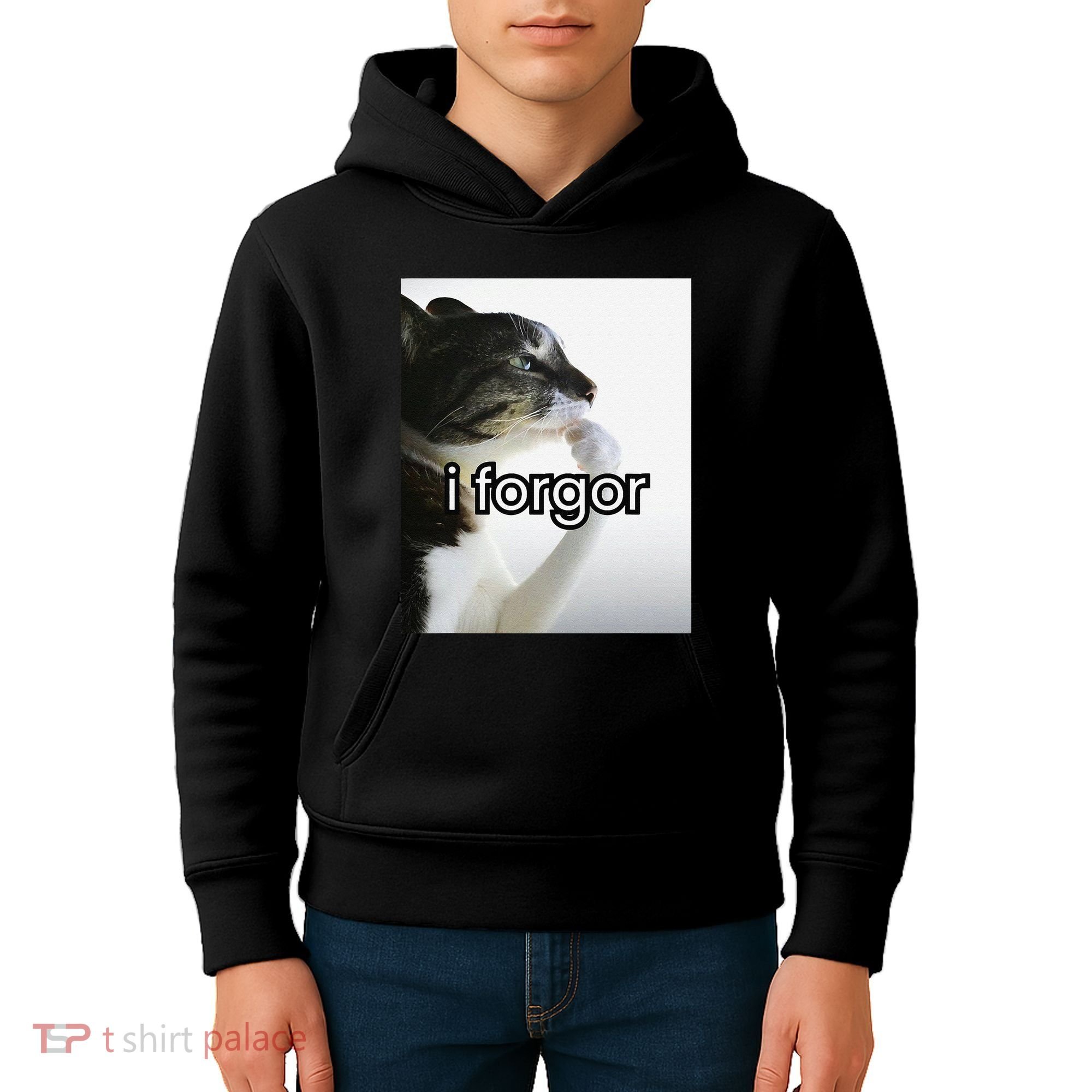 Funny Silly Cat Meme I Forgor Cringe Brainrot Meme Gift Kids Hoodie