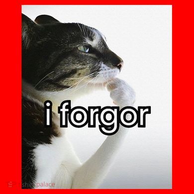 Funny Silly Cat Meme I Forgor Cringe Brainrot Meme Gift Santa Hat
