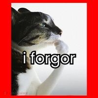 Funny Silly Cat Meme I Forgor Cringe Brainrot Meme Gift Santa Hat thumb 1