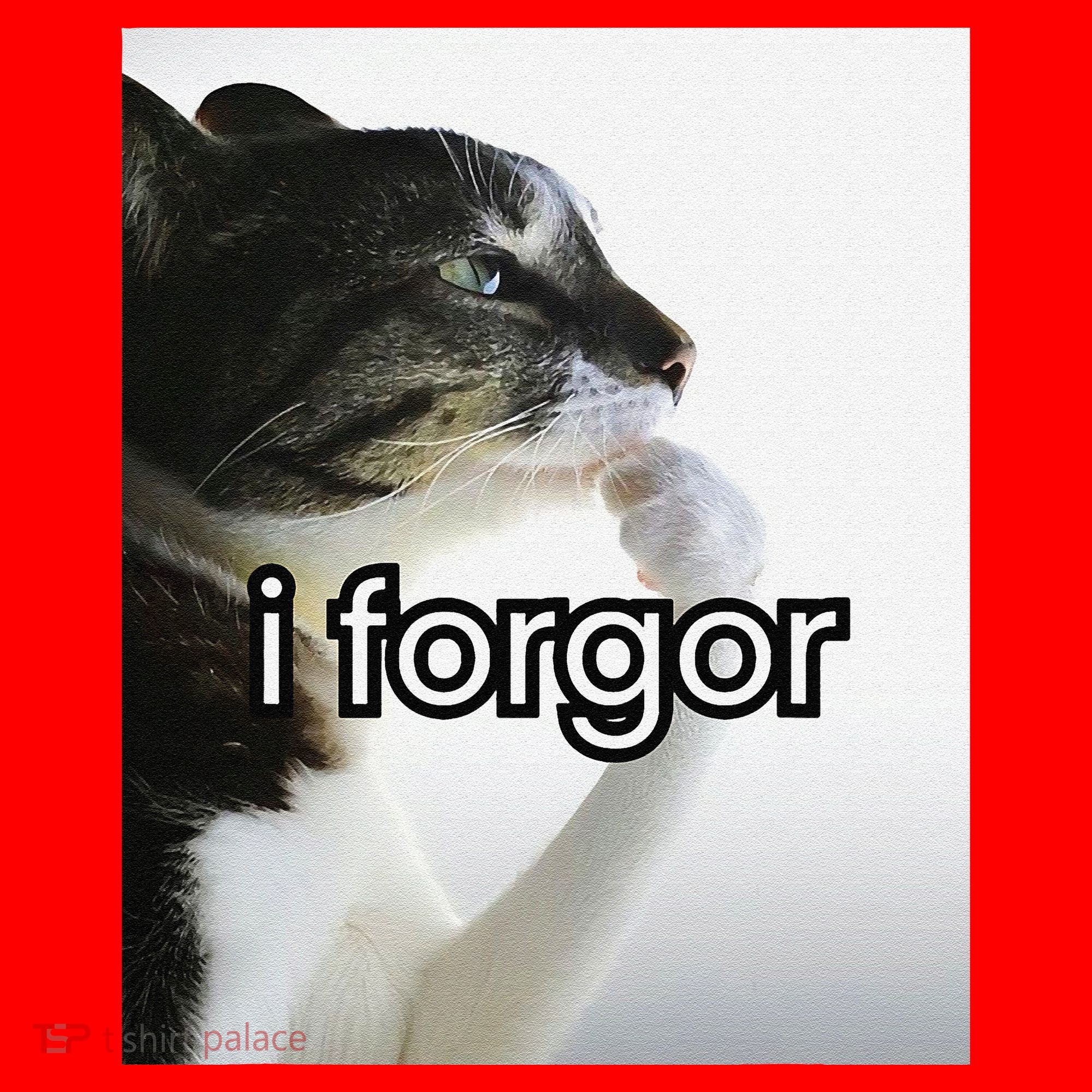 Funny Silly Cat Meme I Forgor Cringe Brainrot Meme Gift Santa Hat