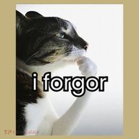 Funny Silly Cat Meme I Forgor Cringe Brainrot Meme Gift Hoodie thumb 7