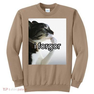Funny Silly Cat Meme I Forgor Cringe Brainrot Meme Gift Sweatshirt