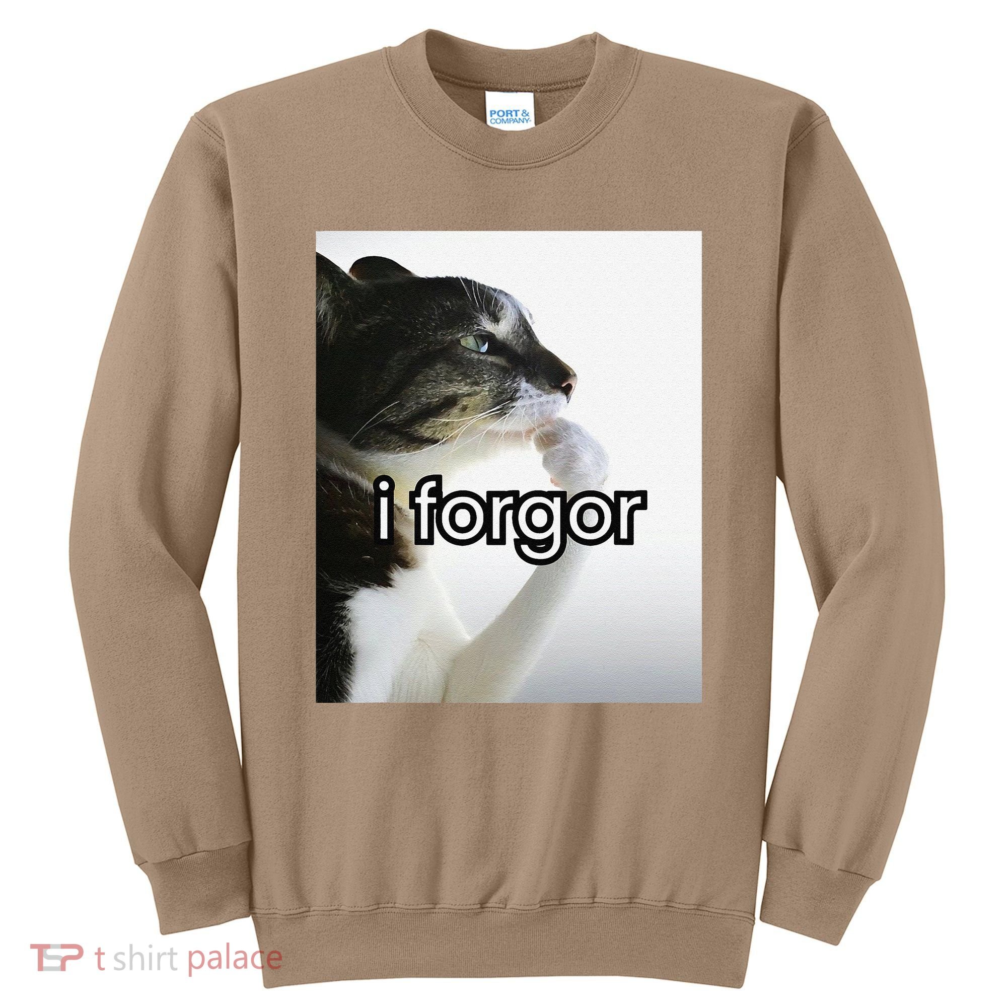 Funny Silly Cat Meme I Forgor Cringe Brainrot Meme Gift Sweatshirt