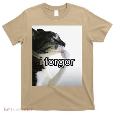 Funny Silly Cat Meme I Forgor Cringe Brainrot Meme Gift T-Shirt