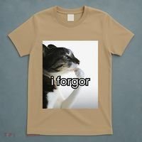 Funny Silly Cat Meme I Forgor Cringe Brainrot Meme Gift T-Shirt thumb 5