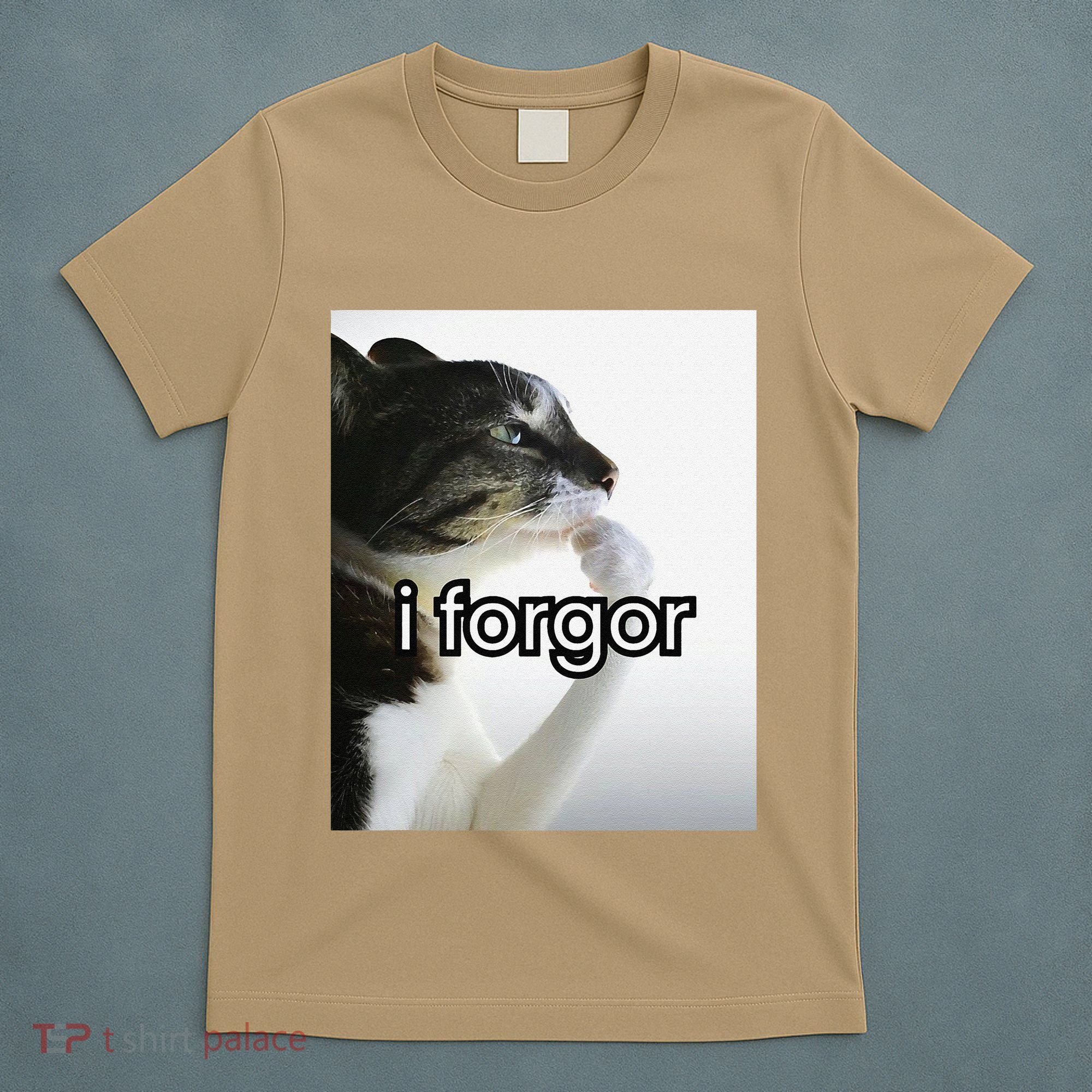 Funny Silly Cat Meme I Forgor Cringe Brainrot Meme Gift T-Shirt