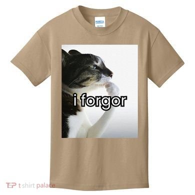 Funny Silly Cat Meme I Forgor Cringe Brainrot Meme Gift Kids T-Shirt
