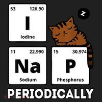 Funny Science Cat I Nap Periodically Cats Lovers Chemistry Women's Sweatshirt thumb 2