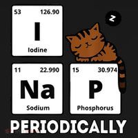 Funny Science Cat I Nap Periodically Cats Lovers Chemistry Coaster thumb 2