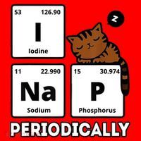 Funny Science Cat I Nap Periodically Cats Lovers Chemistry Santa Hat thumb 1