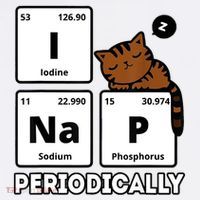 Funny Science Cat I Nap Periodically Cats Lovers Chemistry Mousepad thumb 1