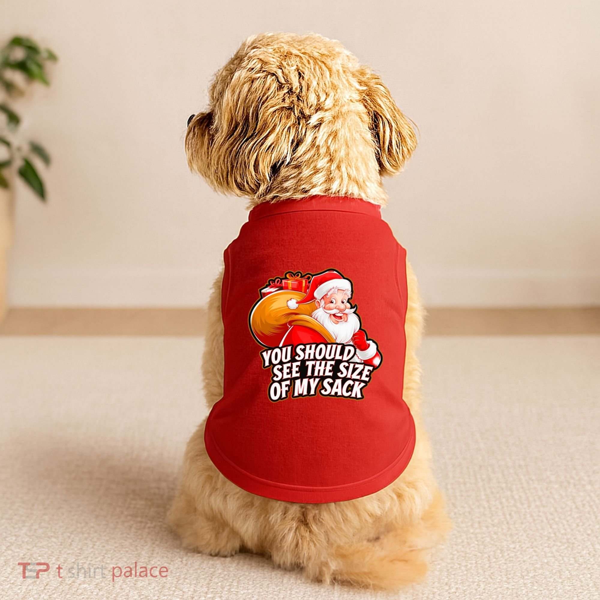 Funny Santa Claus You Should See The Size Of My Sack Doggie Tank