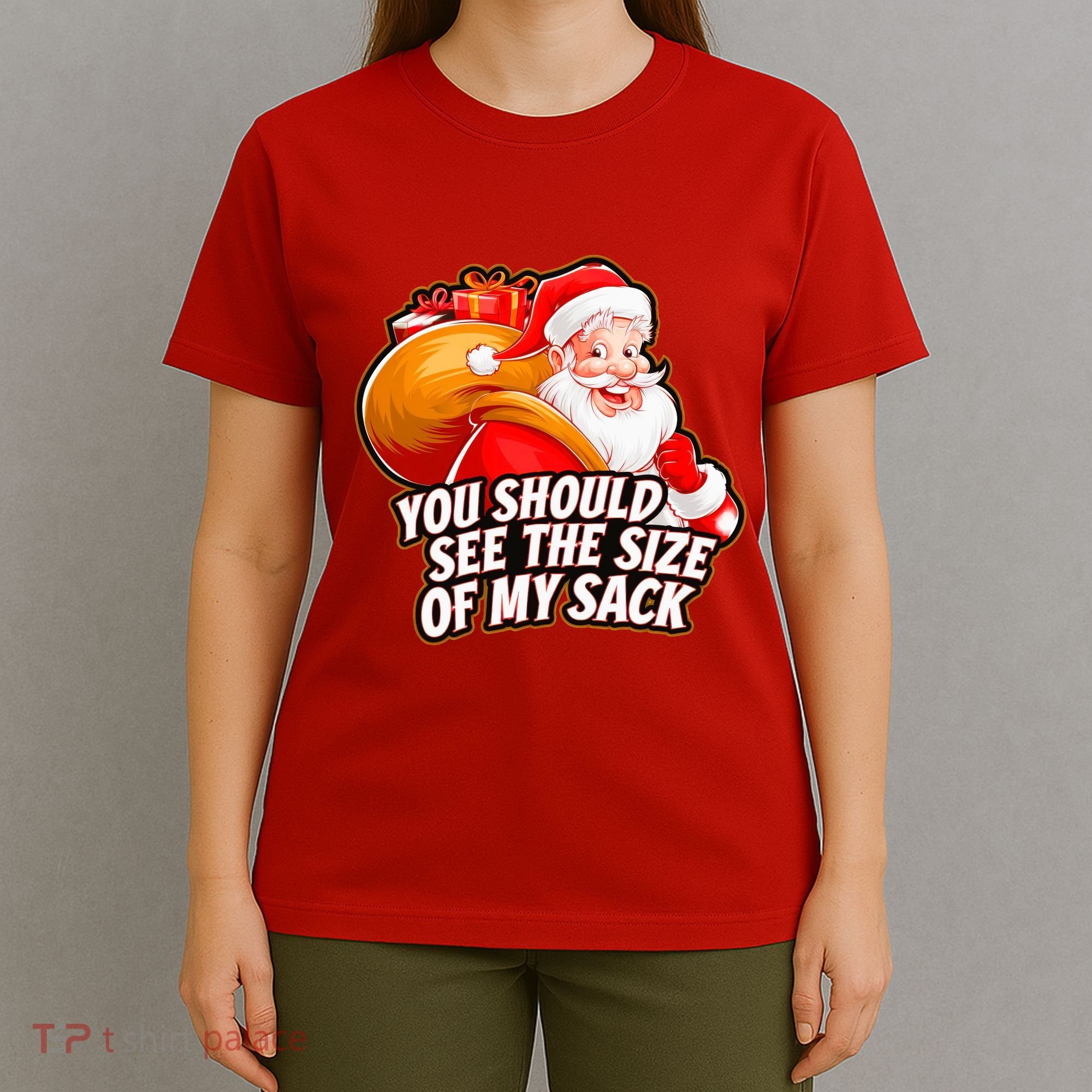 Funny Santa Claus You Should See The Size Of My Sack T-Shirt