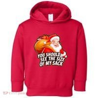Funny Santa Claus You Should See The Size Of My Sack Toddler Hoodie thumb 0