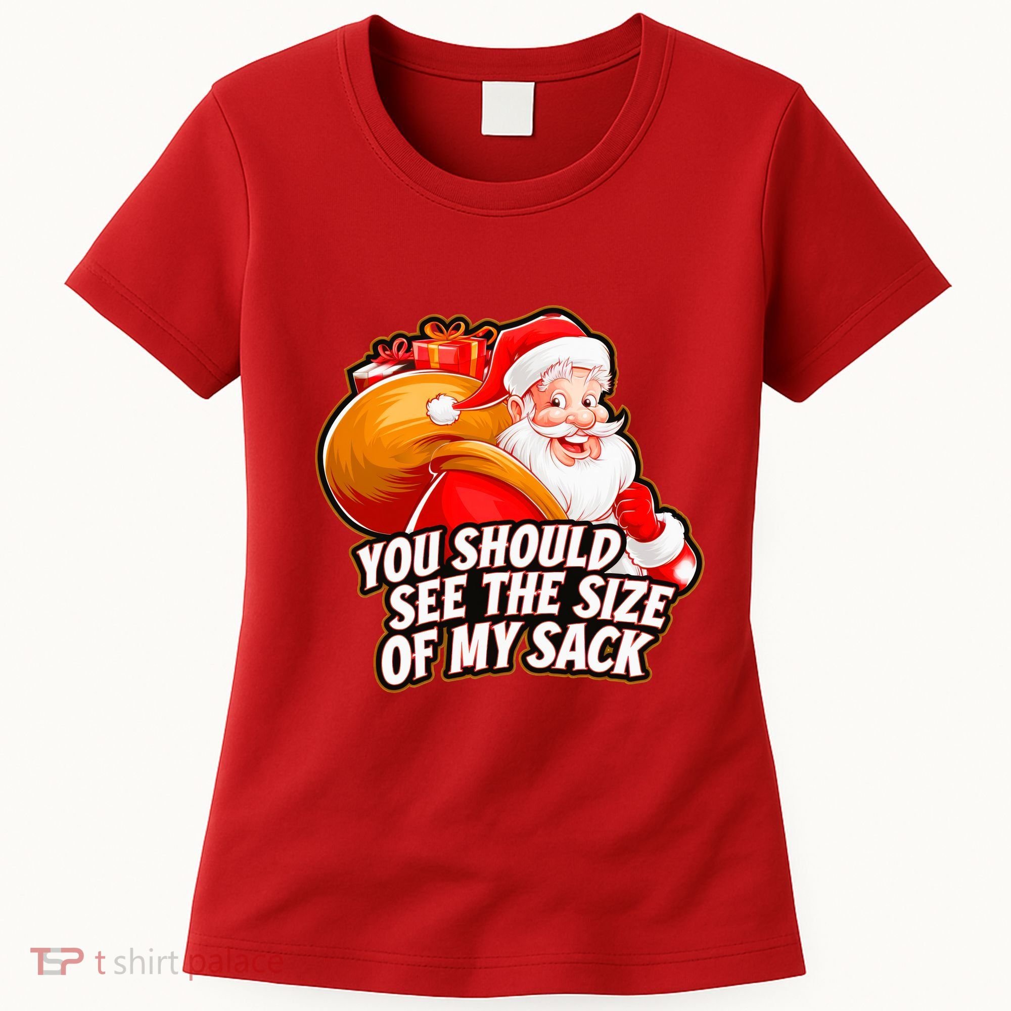 Funny Santa Claus You Should See The Size Of My Sack Women's T-Shirt