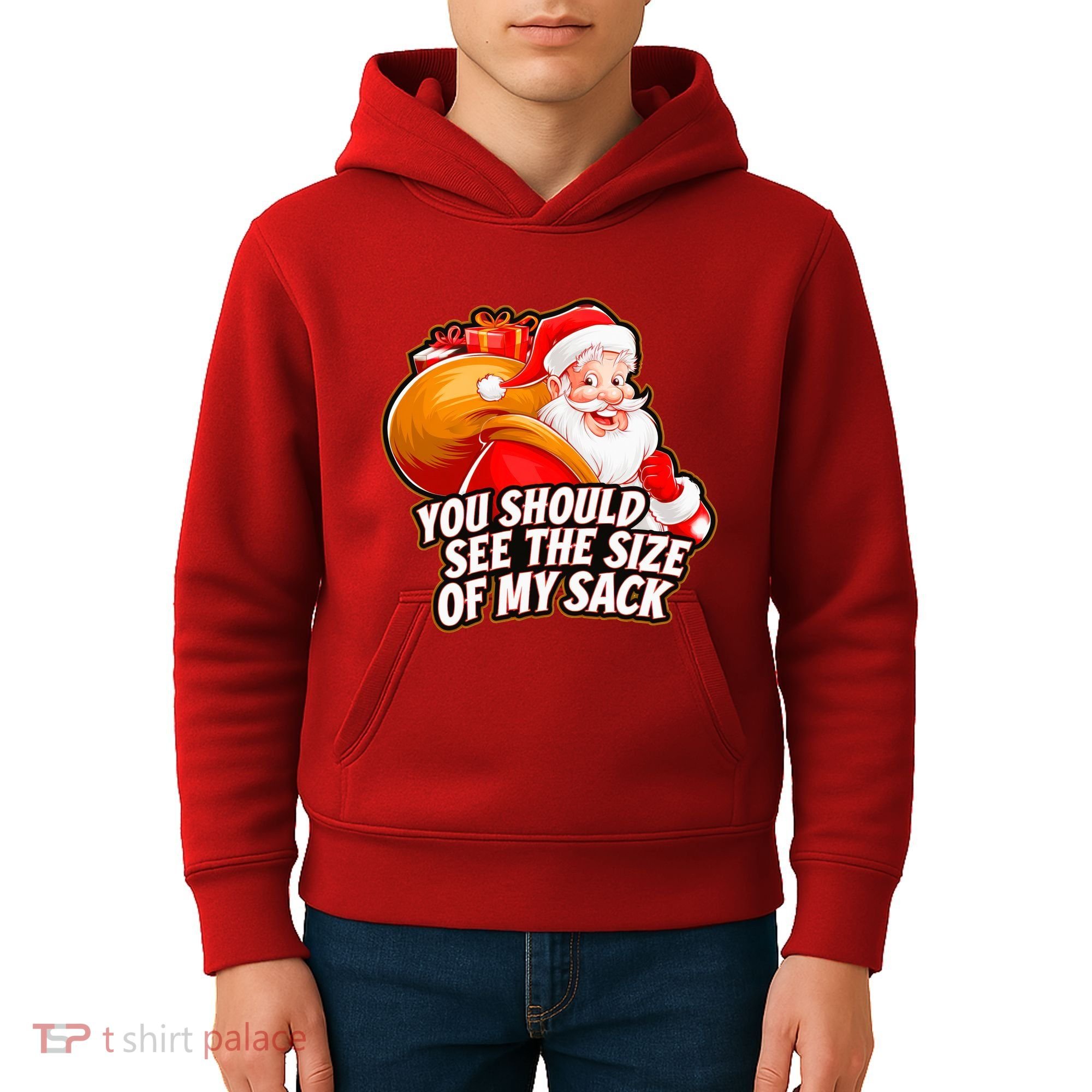 Funny Santa Claus You Should See The Size Of My Sack Kids Hoodie