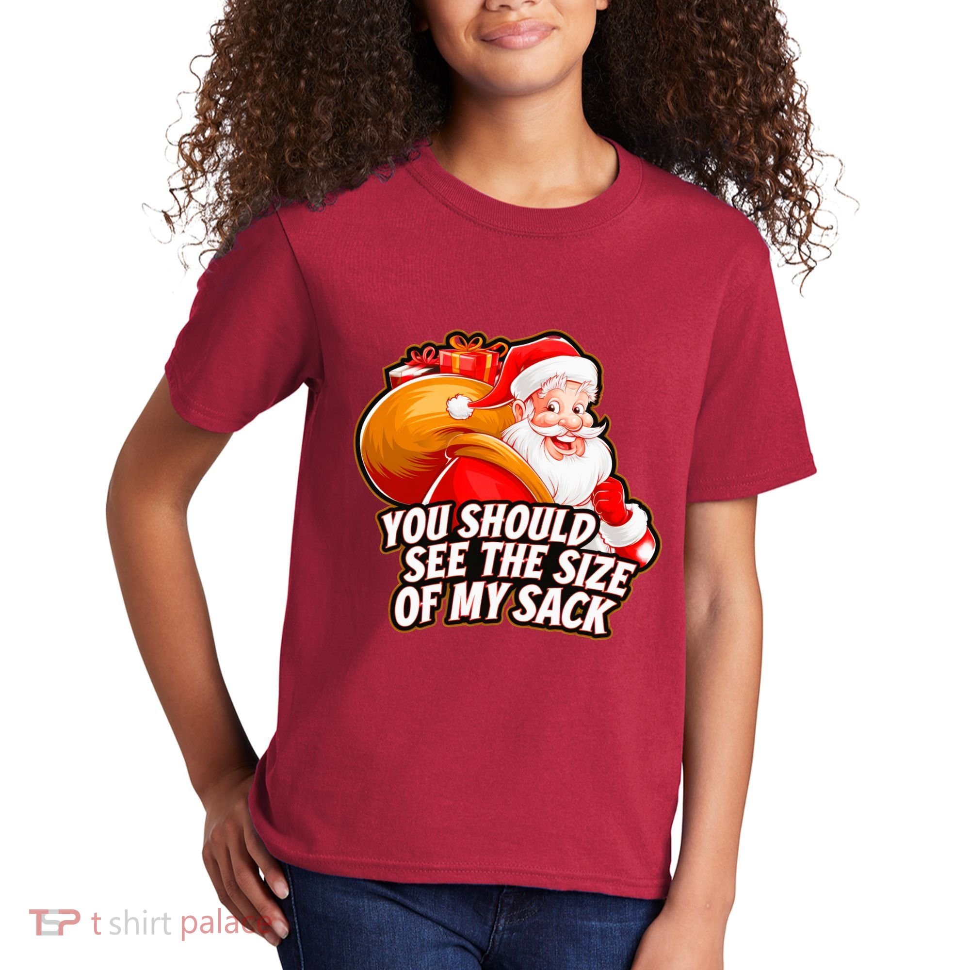 Funny Santa Claus You Should See The Size Of My Sack Kids T-Shirt
