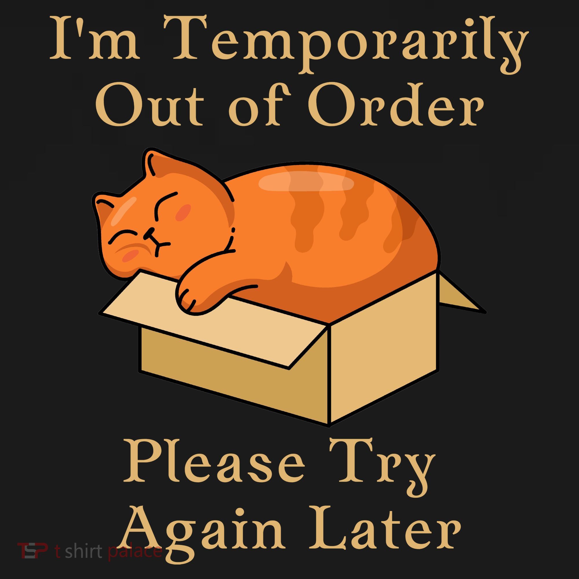 Funny Sleepy Cat Temporarily Out Of Order Women's Hoodie
