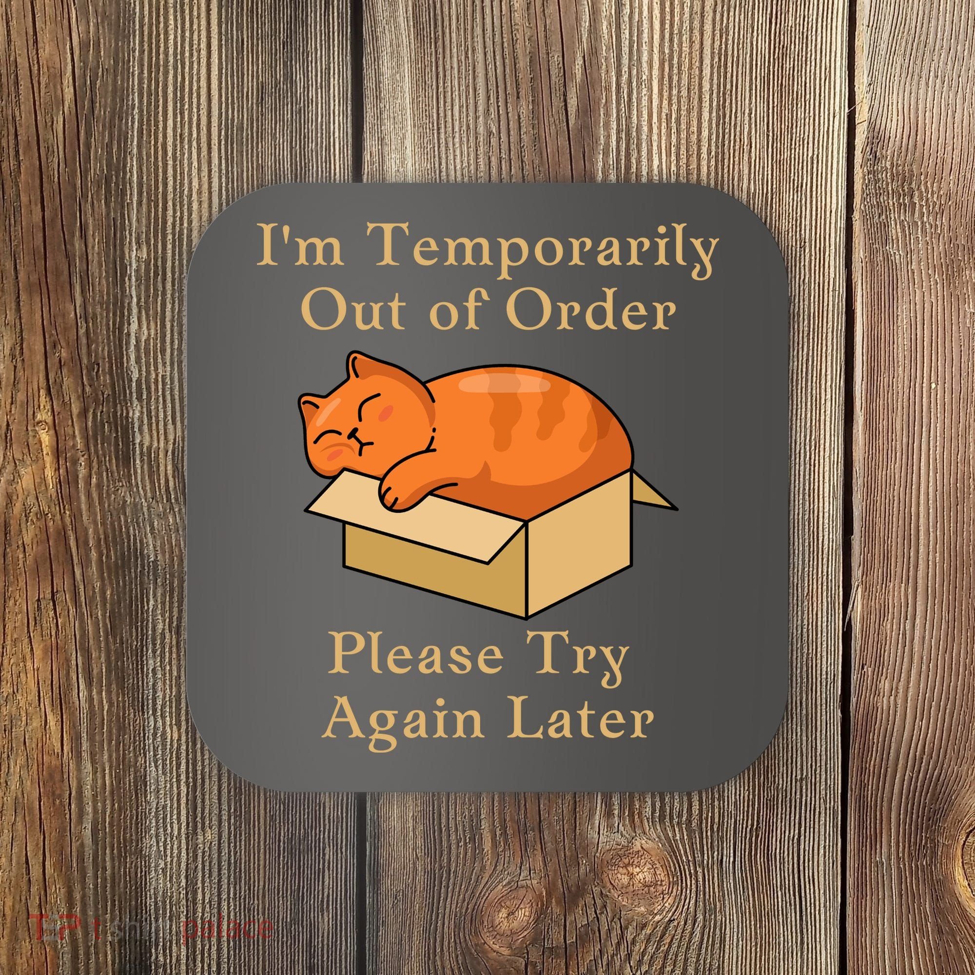 Funny Sleepy Cat Temporarily Out Of Order Coaster