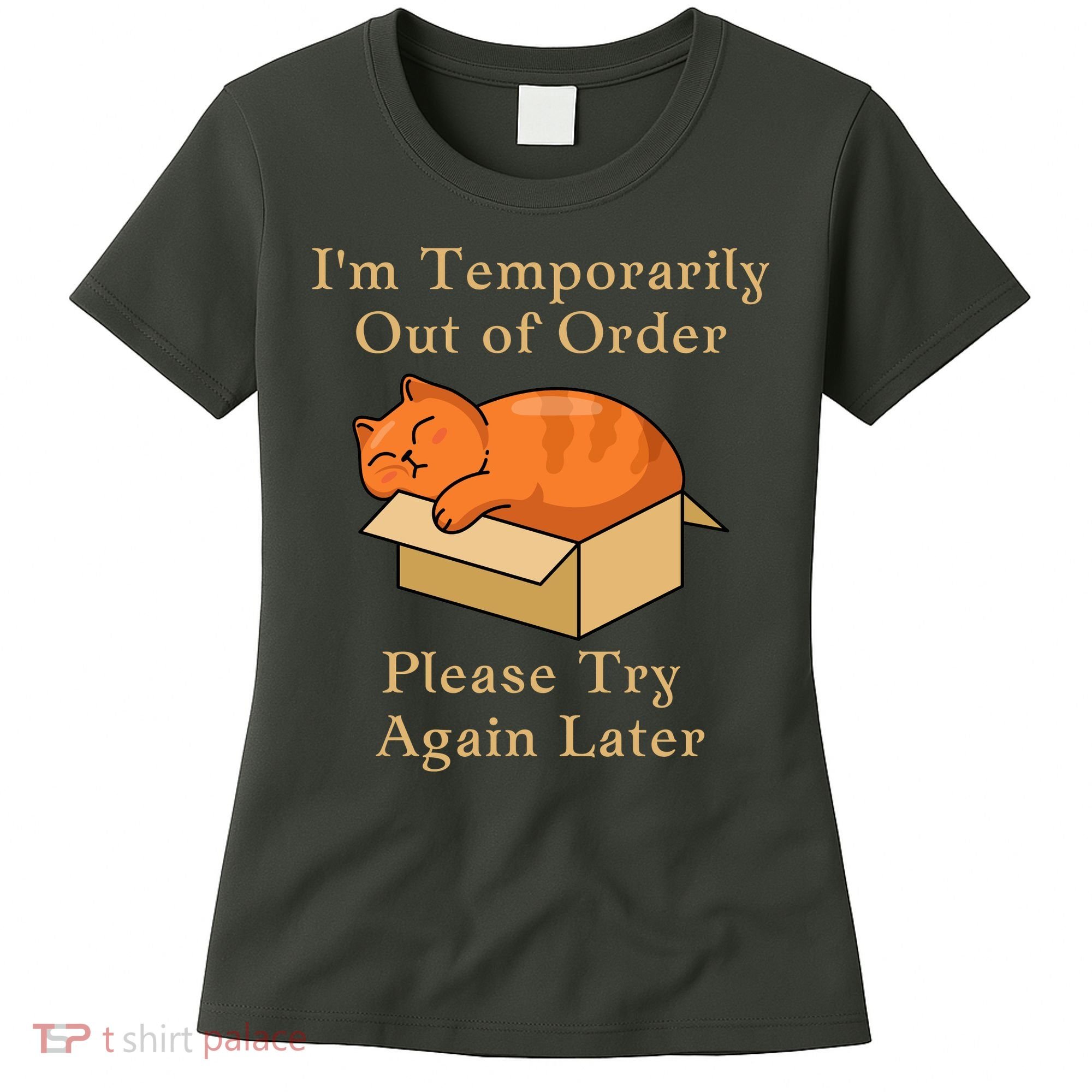 Funny Sleepy Cat Temporarily Out Of Order Women's T-Shirt