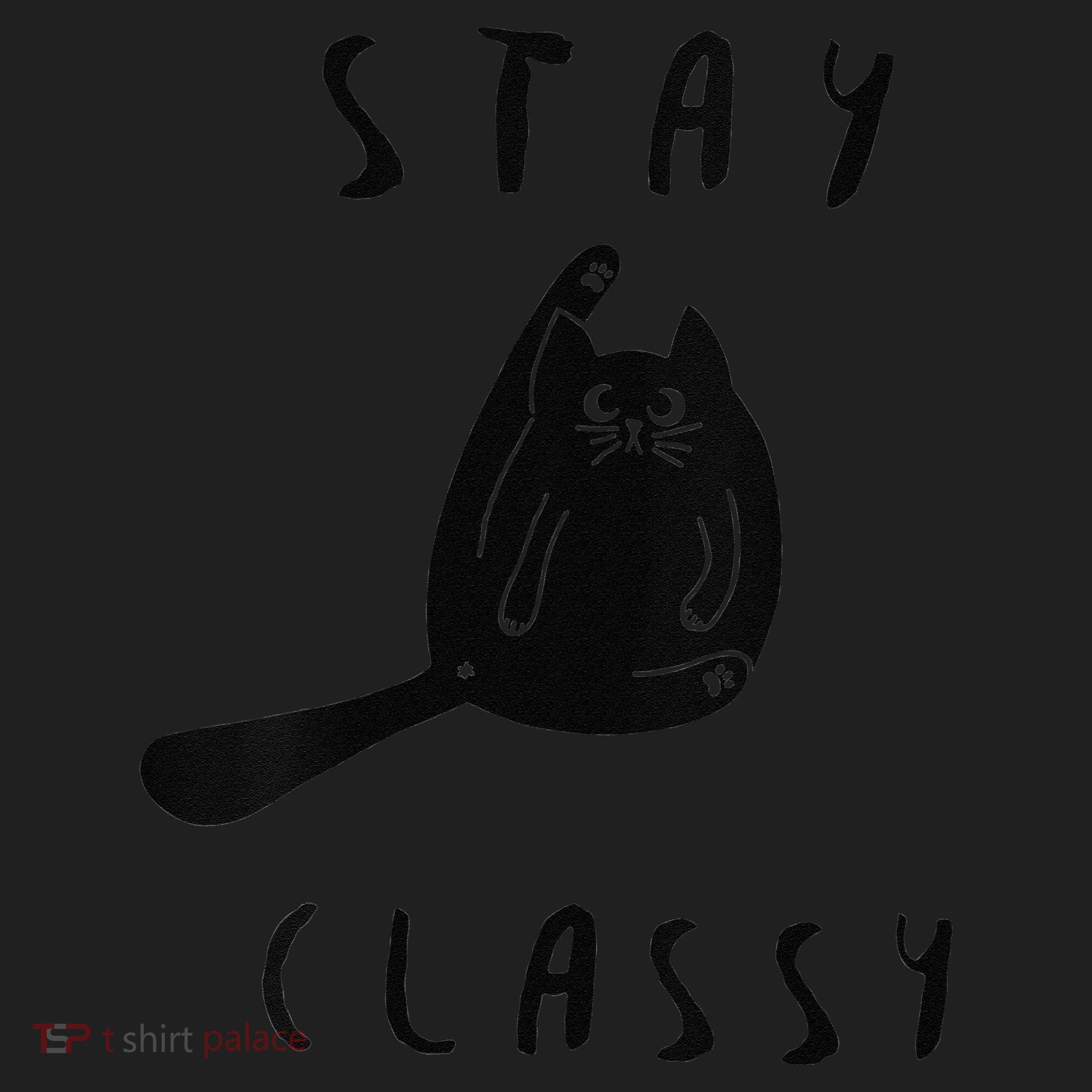 Funny Stay Classy Sarcastic Black Cat Cute Kitten Lover Gift Beanie