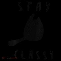 Funny Stay Classy Sarcastic Black Cat Cute Kitten Lover Gift Women's Hoodie thumb 2