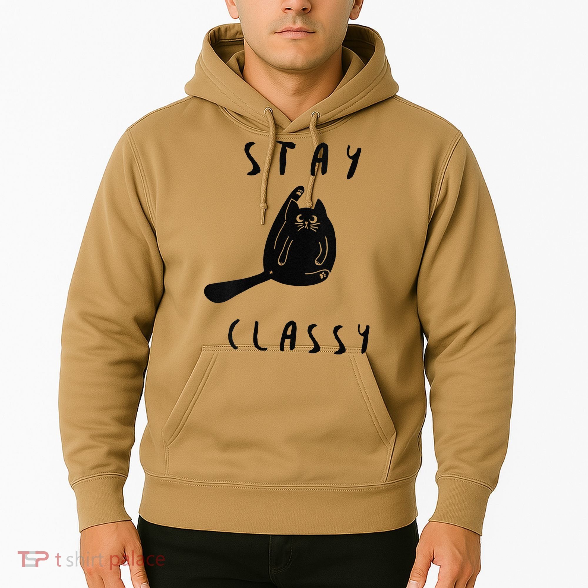 Funny Stay Classy Sarcastic Black Cat Cute Kitten Lover Gift Hoodie