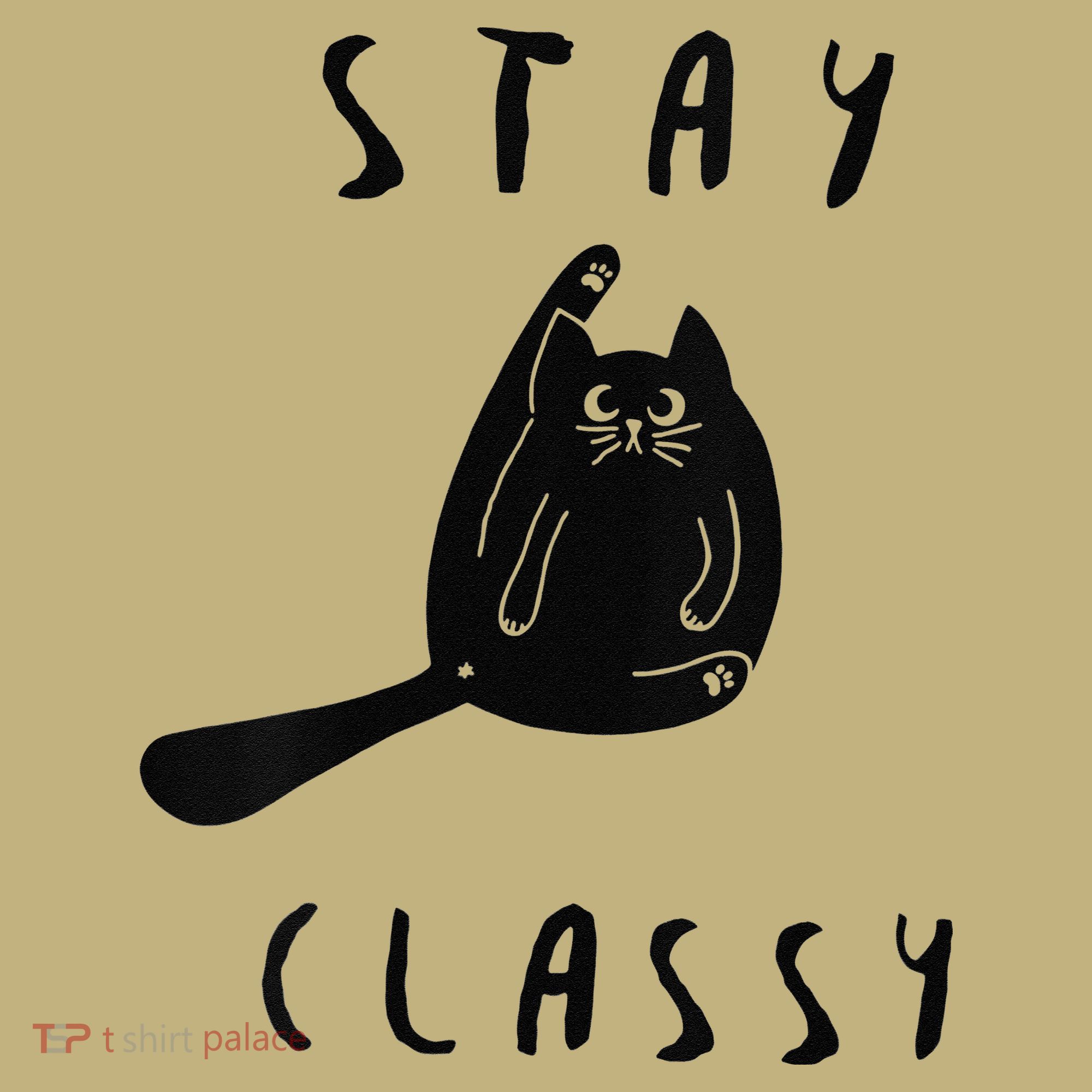 Funny Stay Classy Sarcastic Black Cat Cute Kitten Lover Gift Sweatshirt
