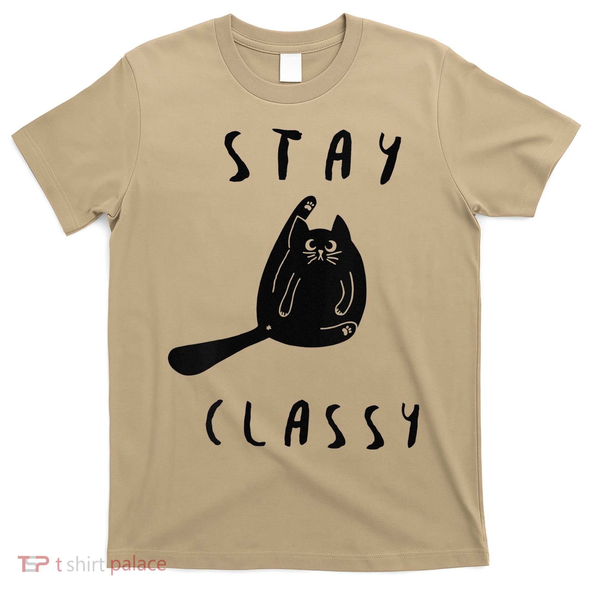 Funny Stay Classy Sarcastic Black Cat Cute Kitten Lover Gift T-Shirt