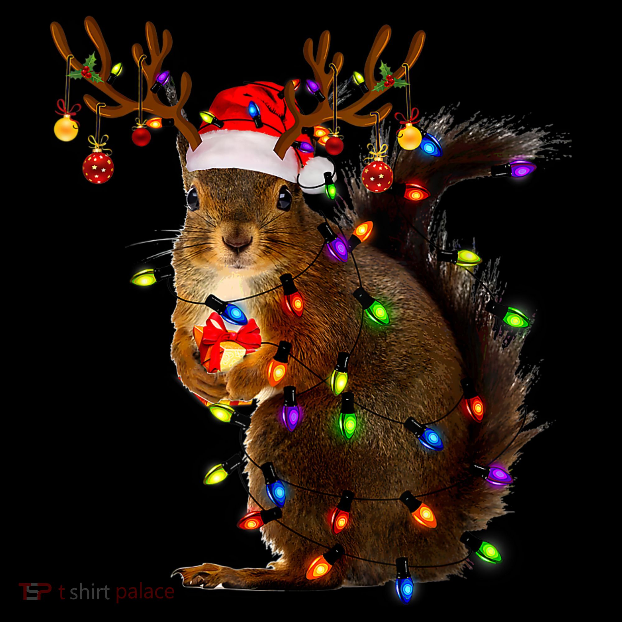 Funny Squirrel Christmas Tree Lights Reindeer Santa Hat Xmas Women's Hoodie
