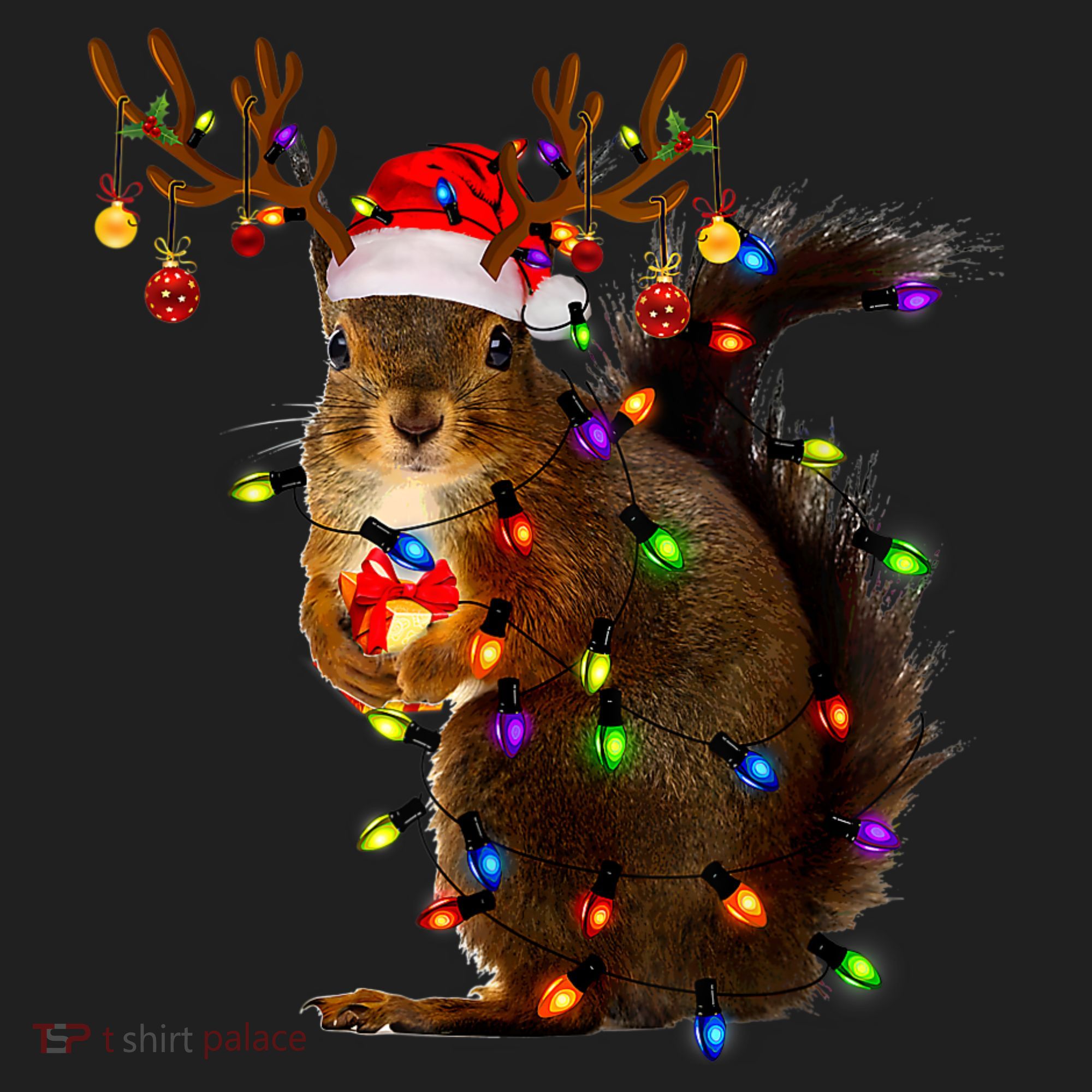 Funny Squirrel Christmas Tree Lights Reindeer Santa Hat Xmas Hat