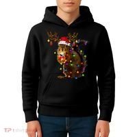 Funny Squirrel Christmas Tree Lights Reindeer Santa Hat Xmas Kids Hoodie thumb 4