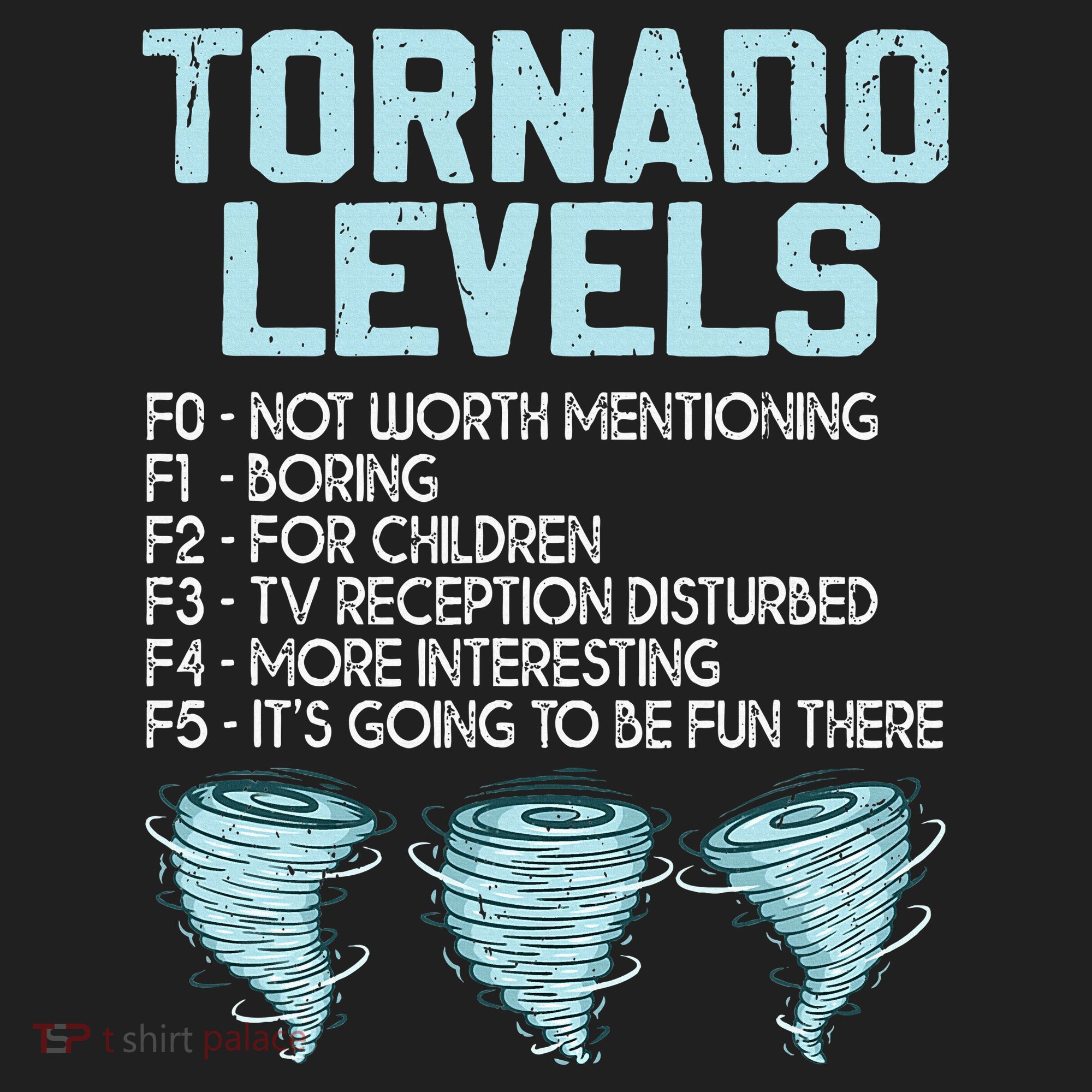 Funny Storm Chaser Chasing Women's Sweatshirt
