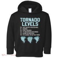 Funny Storm Chaser Chasing Toddler Hoodie thumb 0