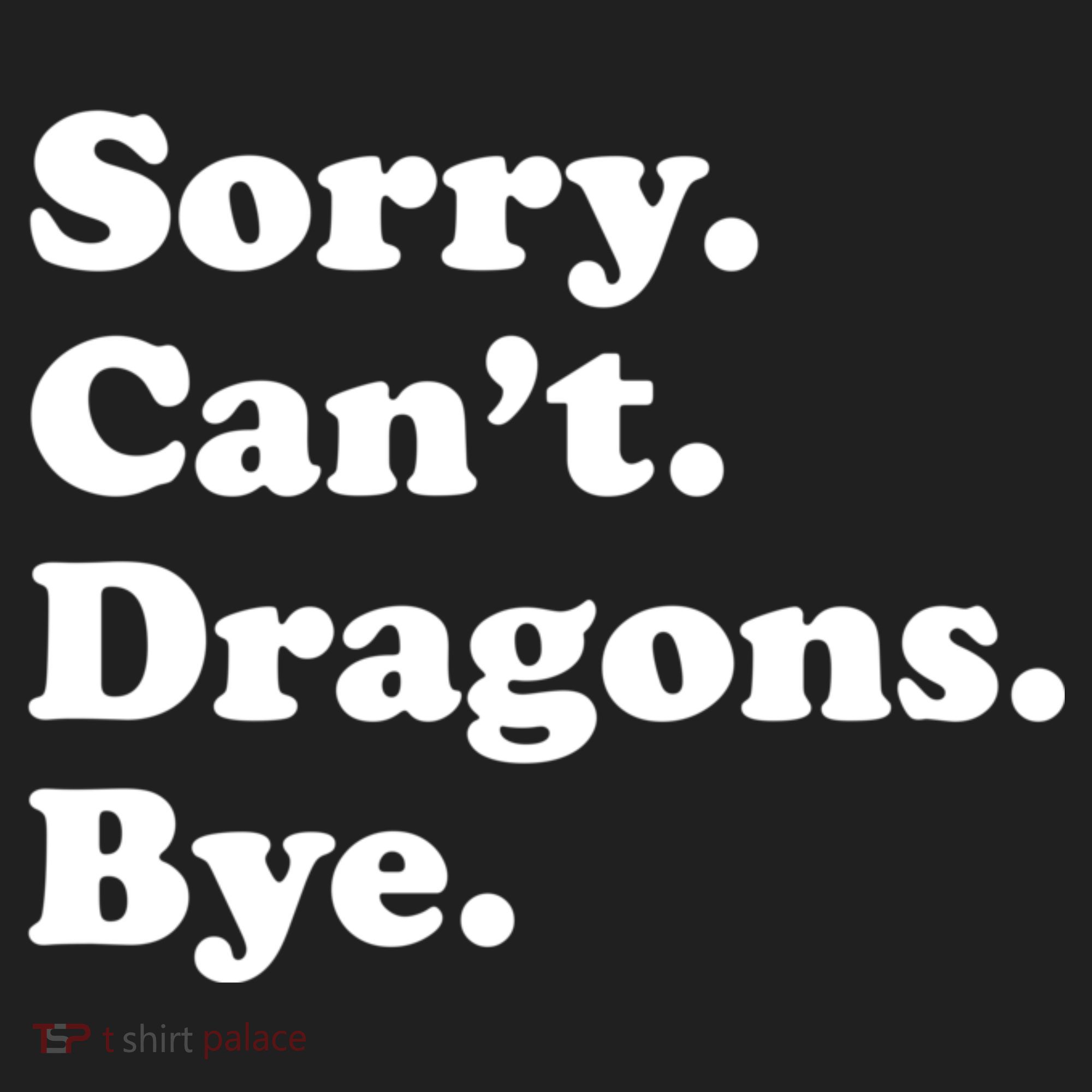 Funny Sorry Cant Dragons Bye Funny Dragon Gift Beanie