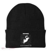 Funny SchröDingerS Cat Quantum Physics Scientists Nerd Beanie thumb 0