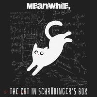 Funny SchröDingerS Cat Quantum Physics Scientists Nerd Hat thumb 2