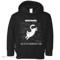 Funny SchröDingerS Cat Quantum Physics Scientists Nerd Toddler Hoodie thumb 0